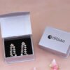 Earring Box
